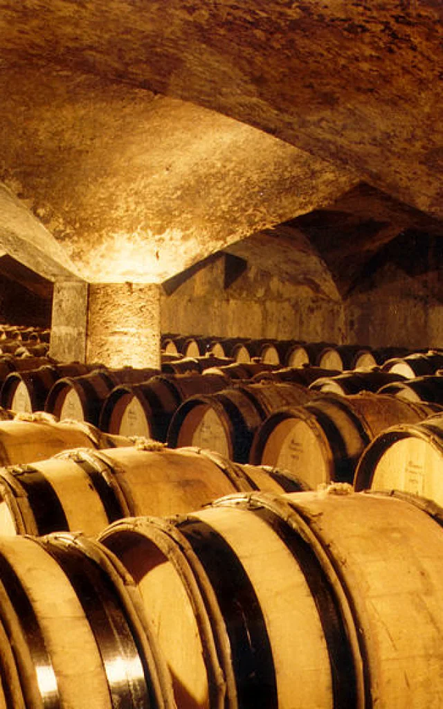 chateau de meursault (2)