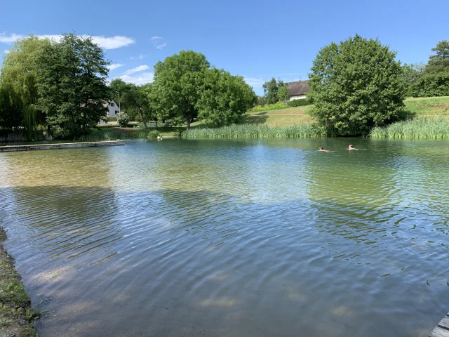 Lac Nolay Nageur