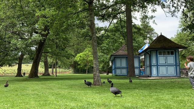 Parc Bouzaize Cabane
