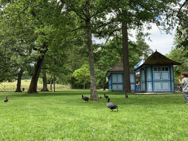 Bouzaize Park Rotated Hütte