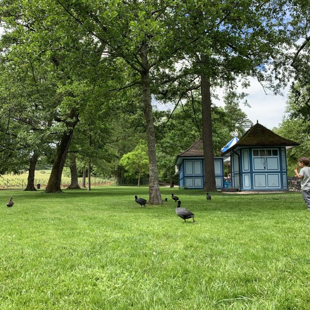 Parc Bouzaize Cabane