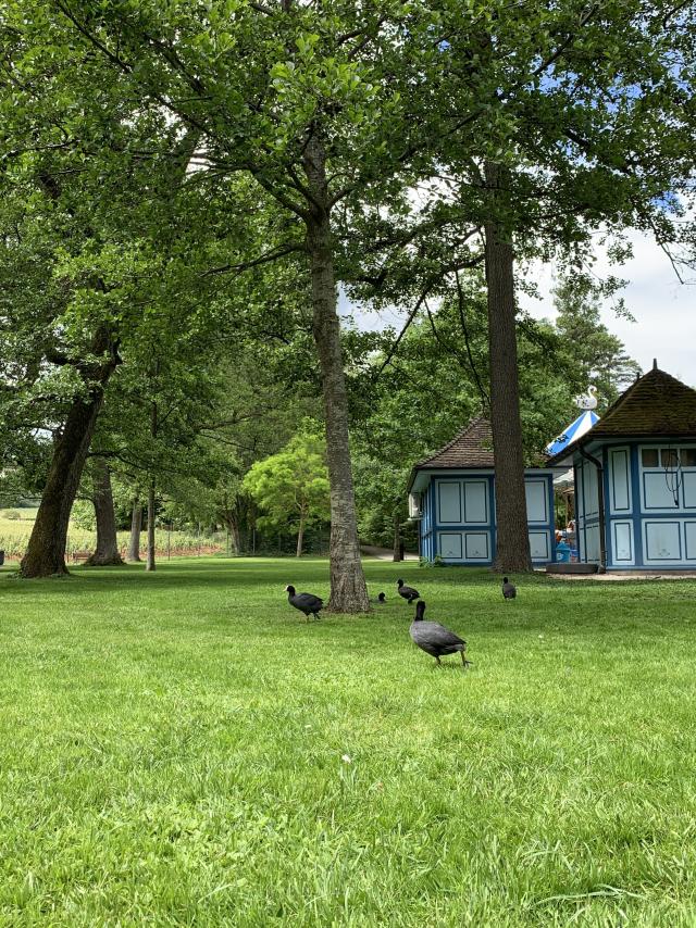 Parc Bouzaize Cabane