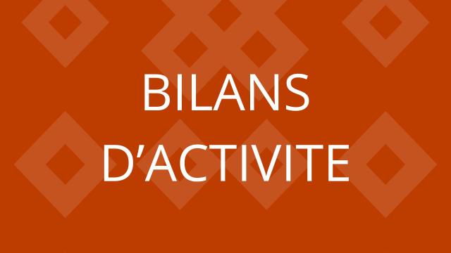 Activity report