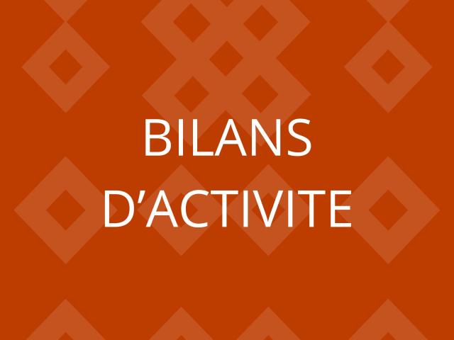 Relatório de actividades