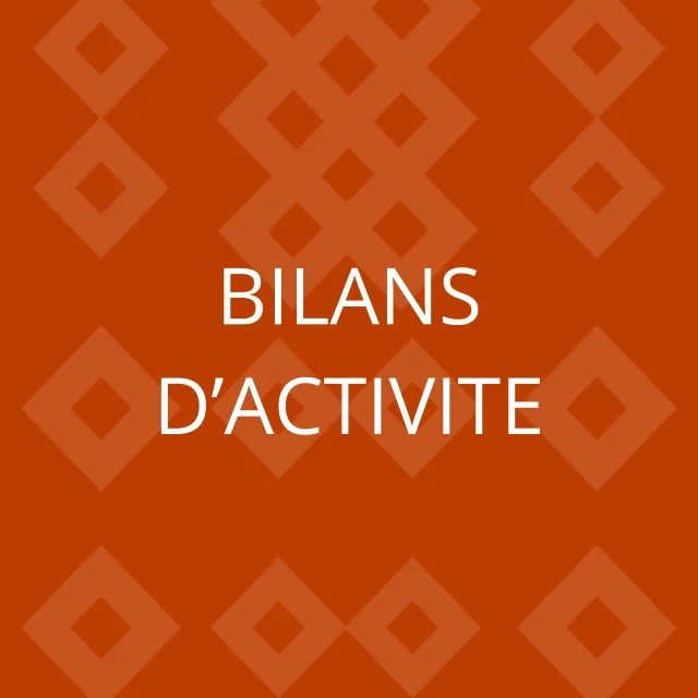 Activity report
