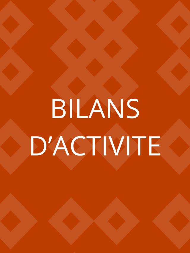 Activity report