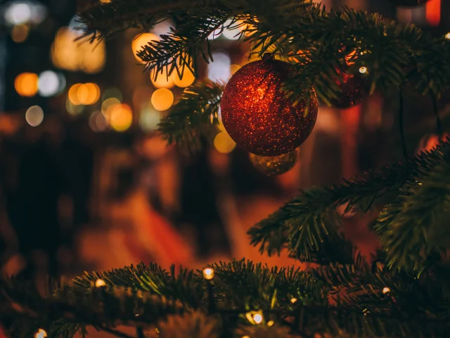 Noel Szabo Viktor Unsplash