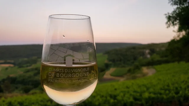 Verre Rocault