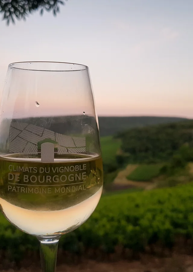 Verre Rocault
