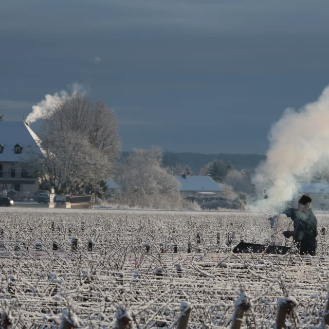 Brasero dans les vignes en hiver