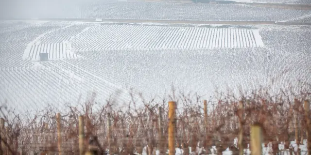 Vignobles en Bourgogne