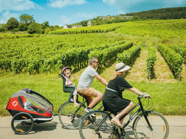 Vignobles Velo