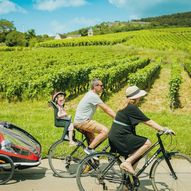 Vignobles Velo