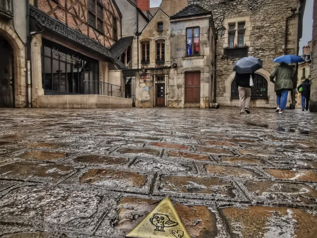 Chouette Parcours Dijon