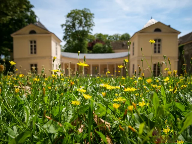 Teatro Verdure Ete