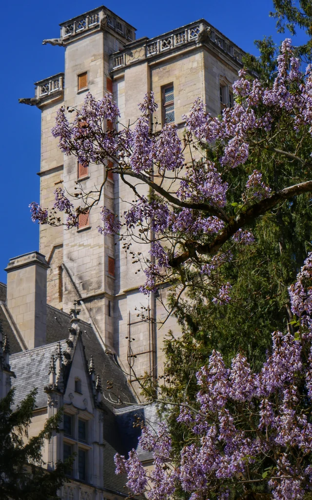 Turm Philippe Le Bon Dijon