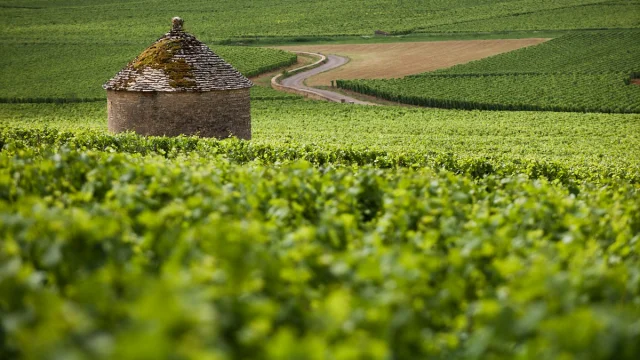 Otbeaune 005787 Bd 1