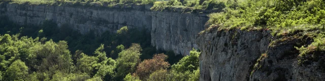 falaises, ciel bleu et forêt