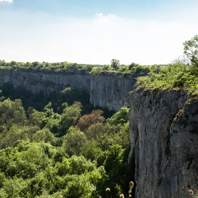 falaises, ciel bleu et forêt