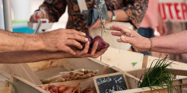 personne servant des légumes au marché