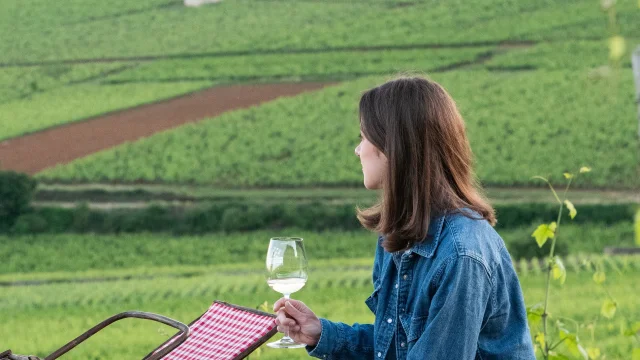Degustation Vigne Muret