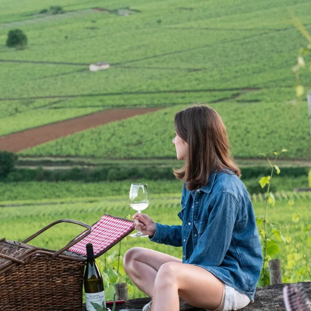 Degustation Vigne Muret