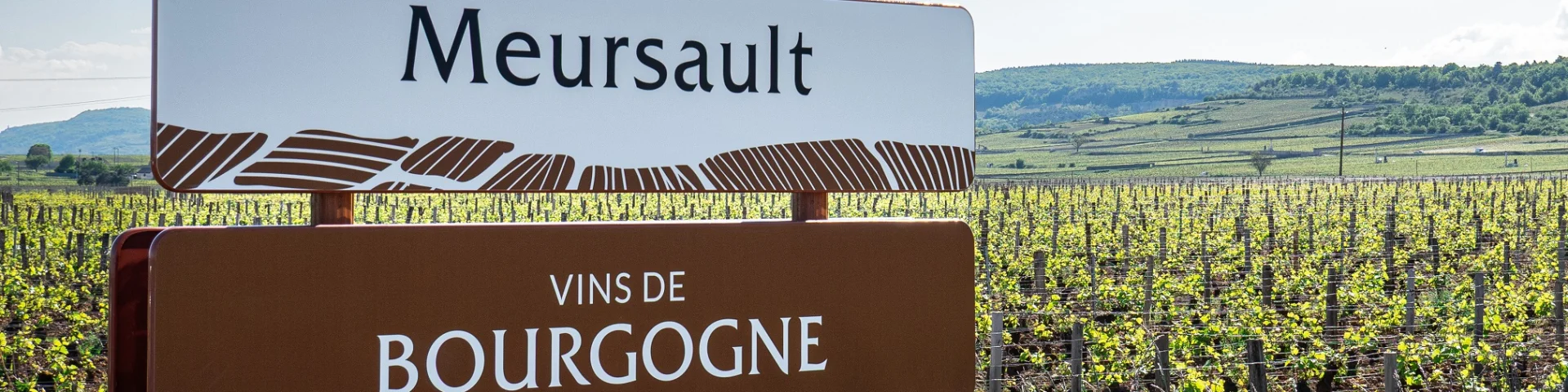 Panneau des vins de Bourgogne - Meursault