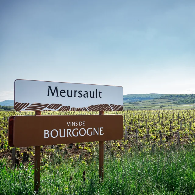 Panneau des vins de Bourgogne - Meursault