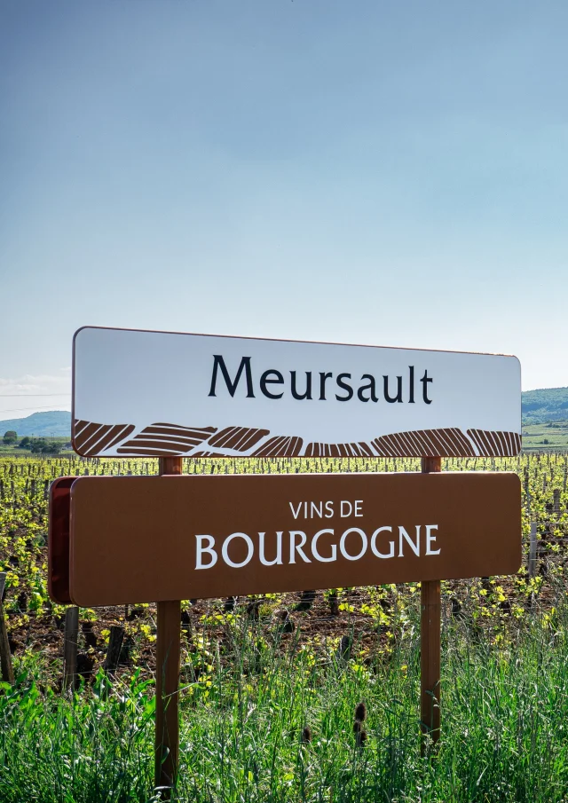 Panneau des vins de Bourgogne - Meursault