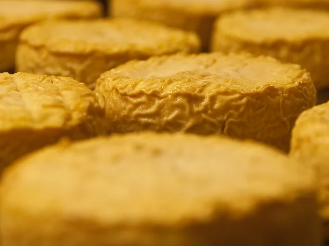 Alain Doire Bfc Turismo Bfc 0011153