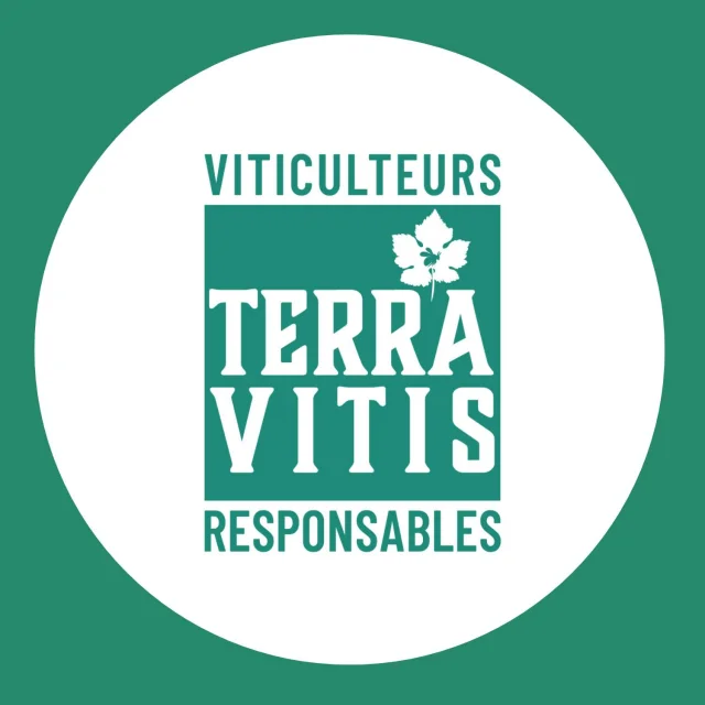 Logo Terra Vitis