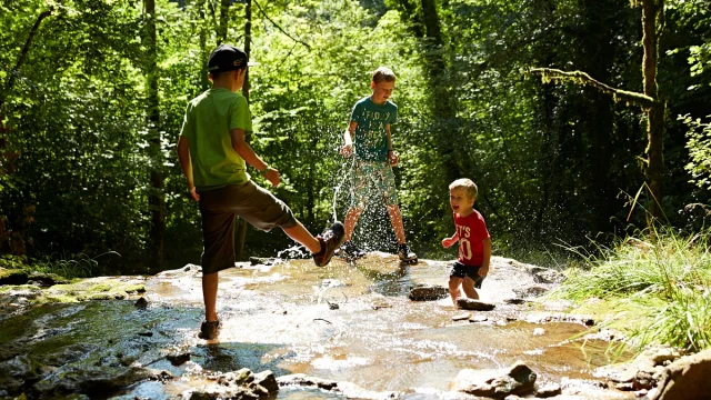 personnes jouant dans un cours d'eau
