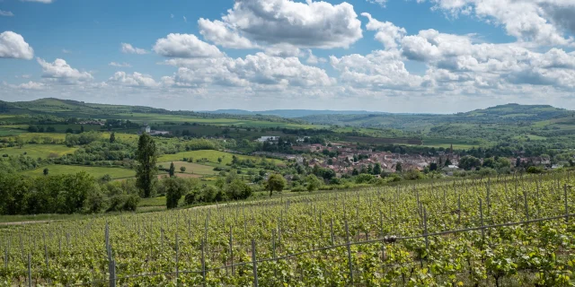 Domaine Cozanne 4