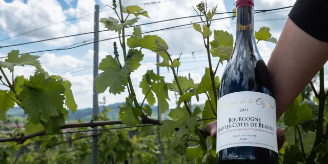 Domaine Cozanne 5