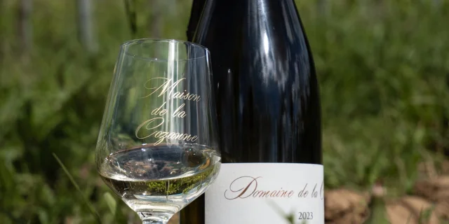 Domaine Cozanne 6