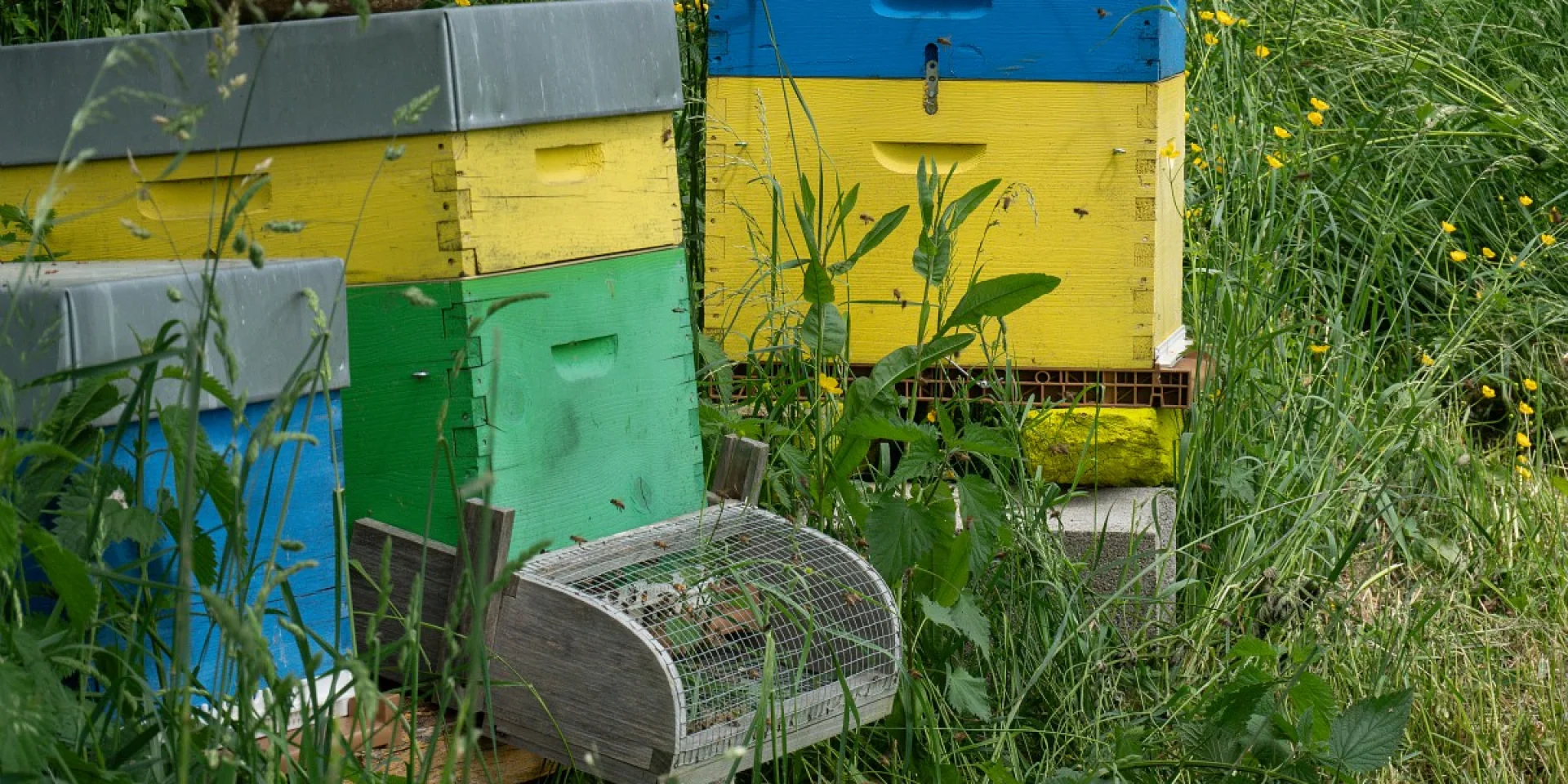 Domaine de la Cozanne