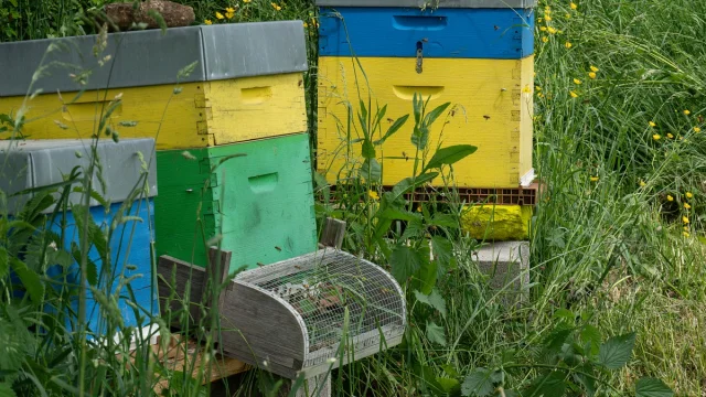 Domaine de la Cozanne