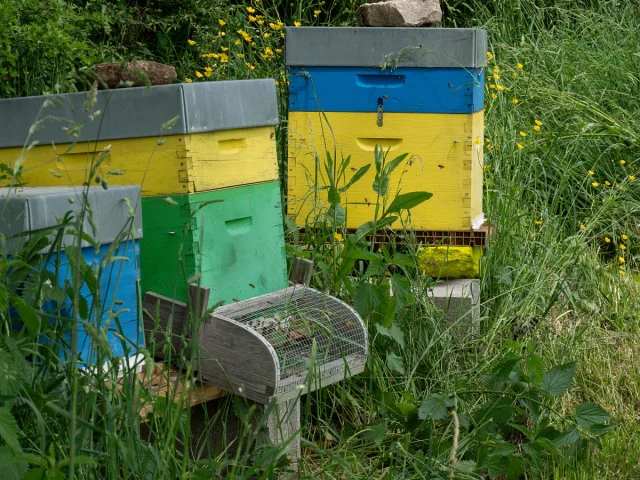 Domaine de la Cozanne