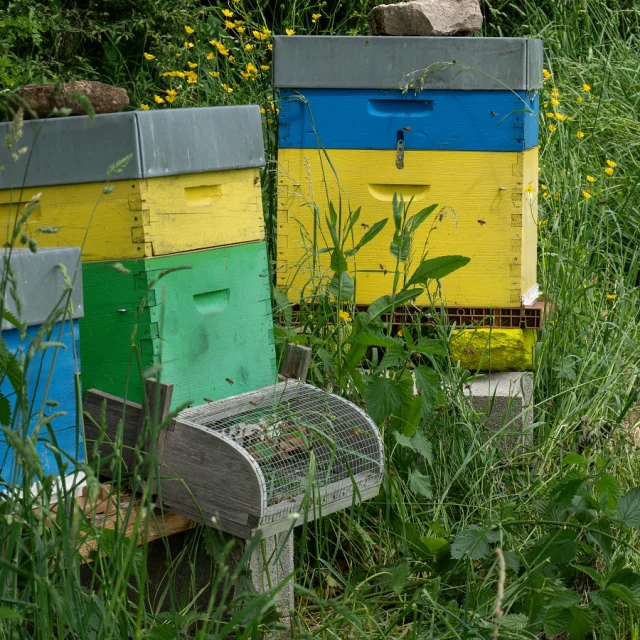 Domaine de la Cozanne