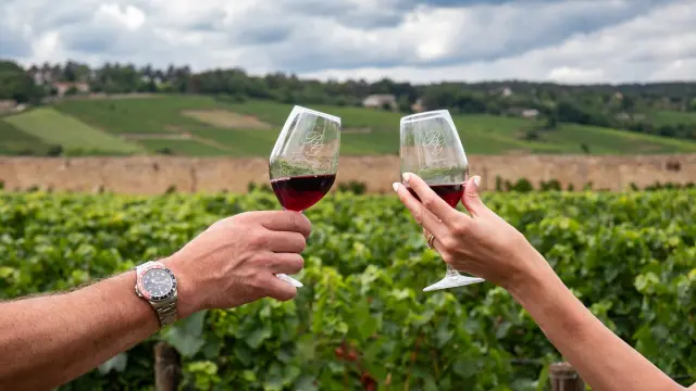 maisn verres vin rouge vignes