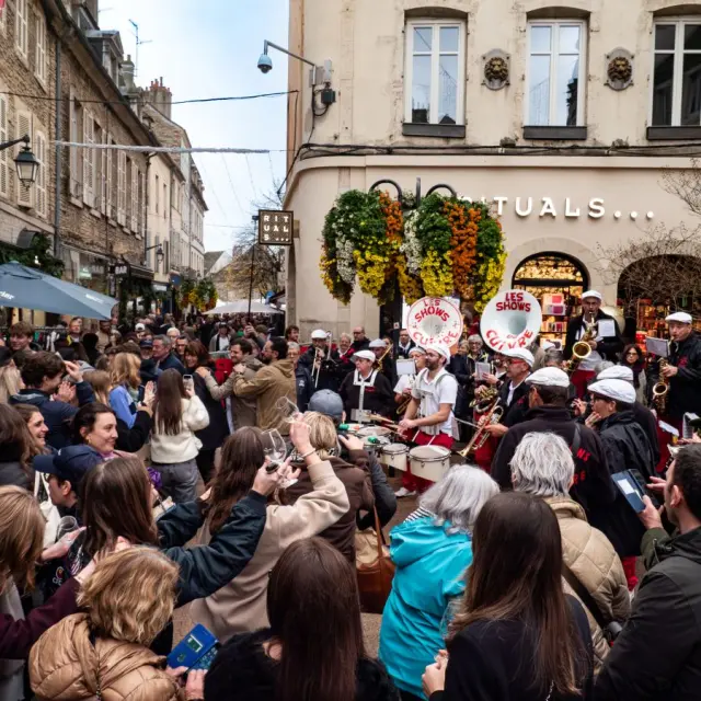 Wine Sale 2025 Festivinales 5