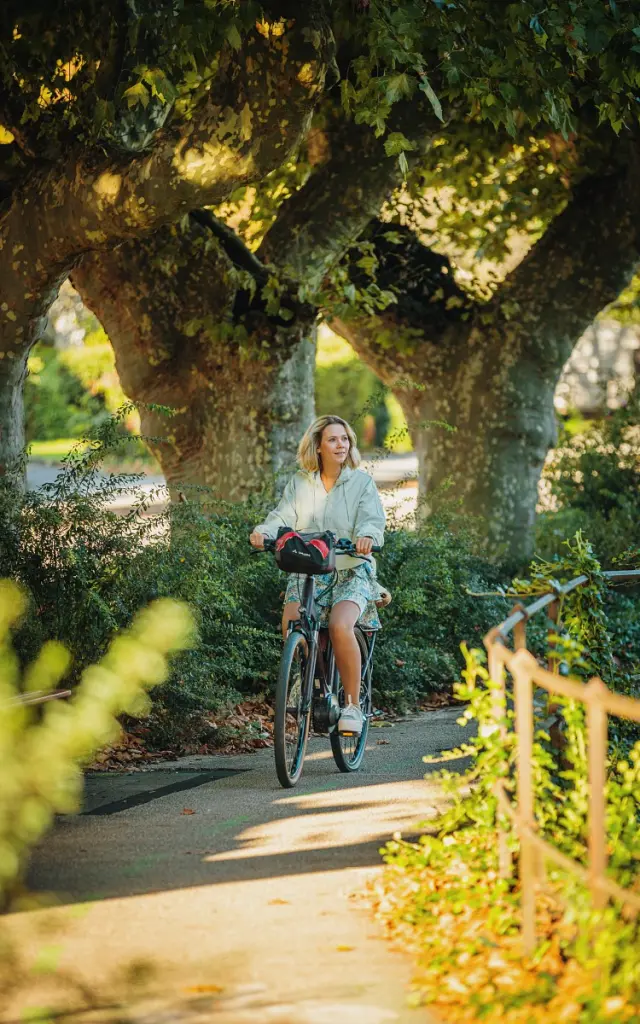 Que Voir A Beaune Velo Remparts Studio Intuive