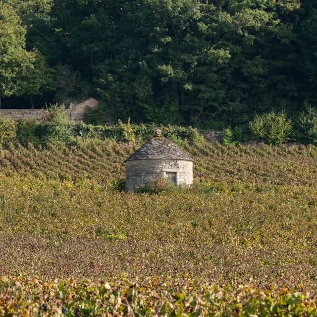 Que Voir A Beaune Cabotte Quentin Lahaie