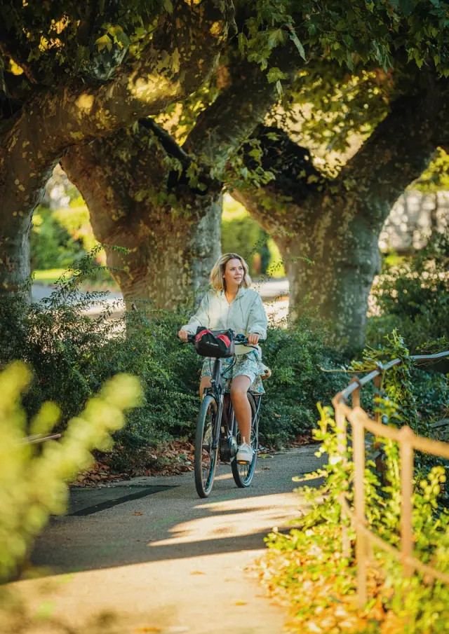 Remparts Beaune Velo Studio Intuive