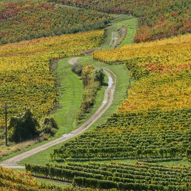 Nationale 6 Route Automne Gaelle Bourhis