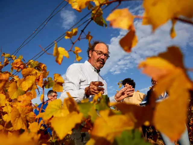 Nationale 6 Vignes Automne J Piffaut