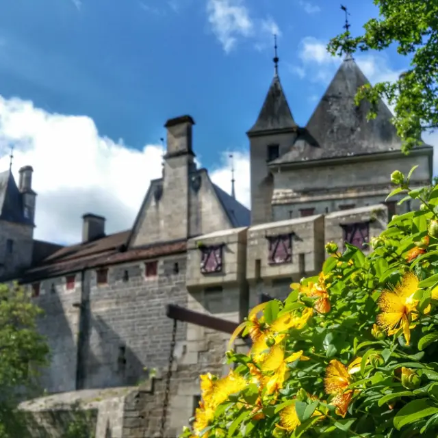 Bel Air N6 Chateau Rochepot Gaelle Bourhis 1