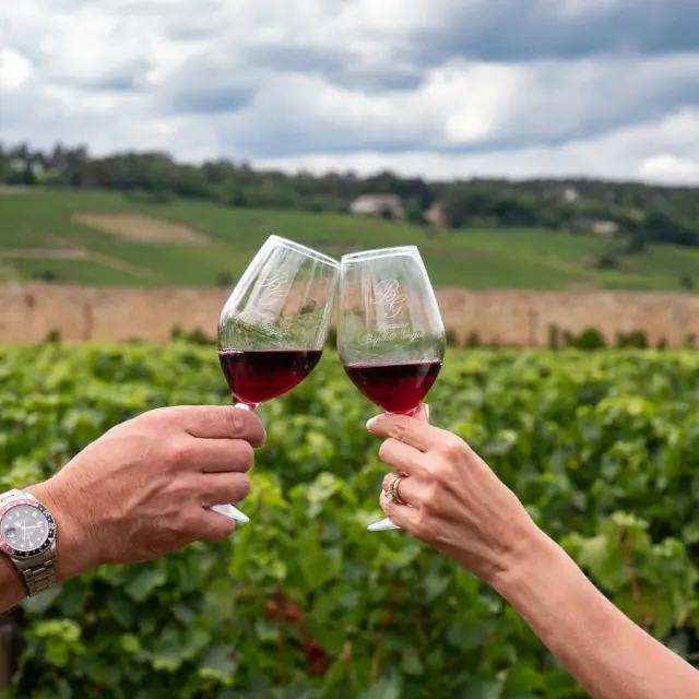 Bel Air N6 Vin Verre Quentin Lahaie