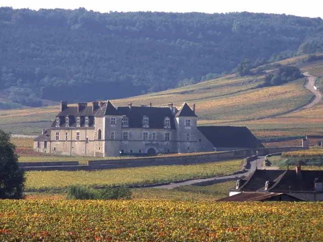 Bel Air N6 Vougeot Route Des Grands Crus