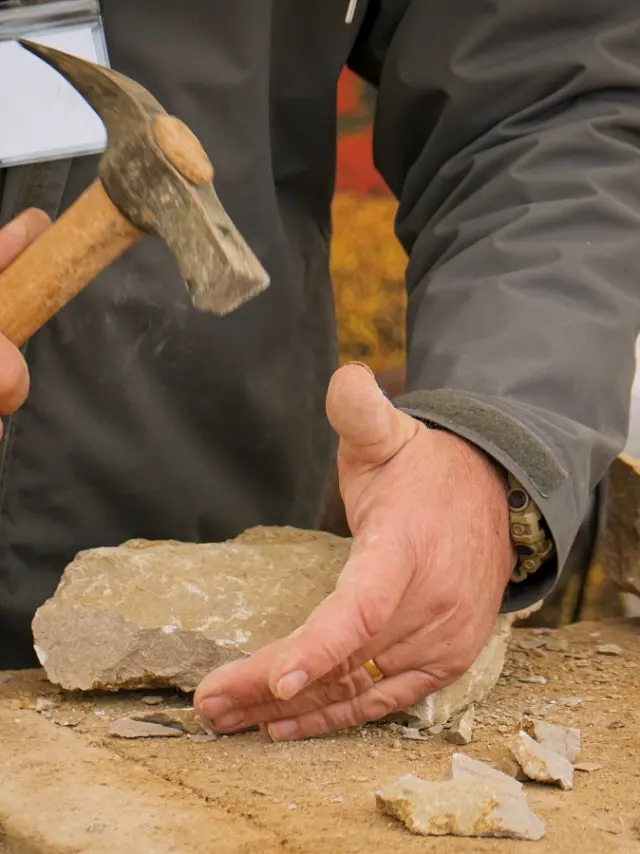 Histoire De Bourgogne Tailleur Pierre Gaelle Bourhis